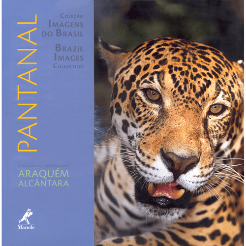 Pantanal 1ª Edição