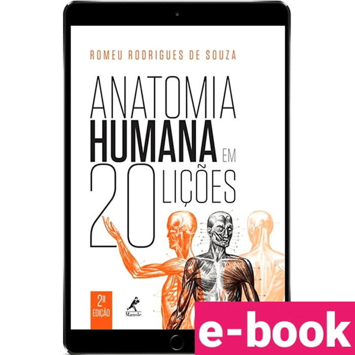 Treino Mês 2 PDF, PDF, Anatomia humana