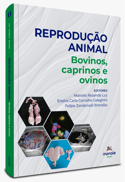 Reprodução Animal - 1ª Edição - Volume 2 - Bovinos, caprinos e ovinos