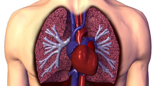 Fisiologia e Fisiopatologia Cardiorrespiratória