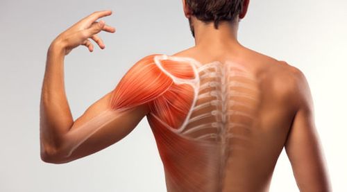 Fisiologia e Fisiopatologia Musculoesquelética