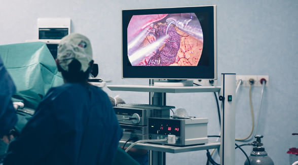 image-ff819a7b9c254711b359ff26526a69f3