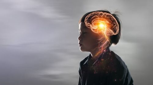 Sistema Neurológico em Neonatologia e Pediatria